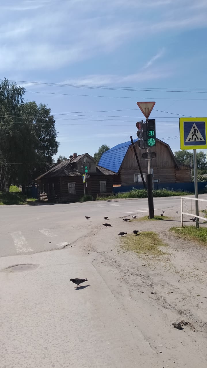 В Онежском округе устанавливают новые светофоры для повышения безопасности дорожного движения.