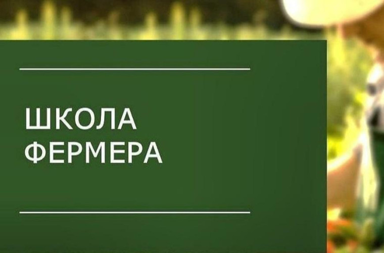 «Школа фермера». «Школа фермера».
