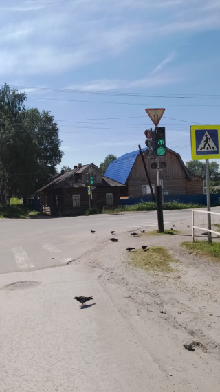 В Онежском округе устанавливают новые светофоры для повышения безопасности дорожного движения. В Онежском округе устанавливают новые светофоры для повышения безопасности дорожного движения.